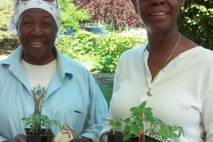Aarafa and Que-dah with tomato seedlings