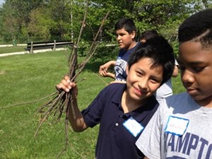 Tree Giveaway at Humboldt Park Family Adventure Day