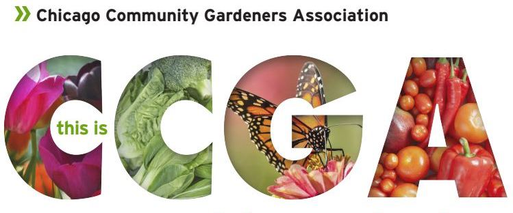 CCGA Logo