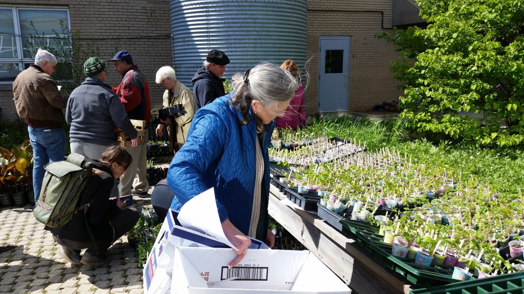May 6th Distribution gardeners getting plants