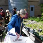 May 6th Distribution gardeners getting plants