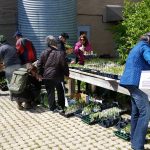 May 6th Distribution shopping for plants