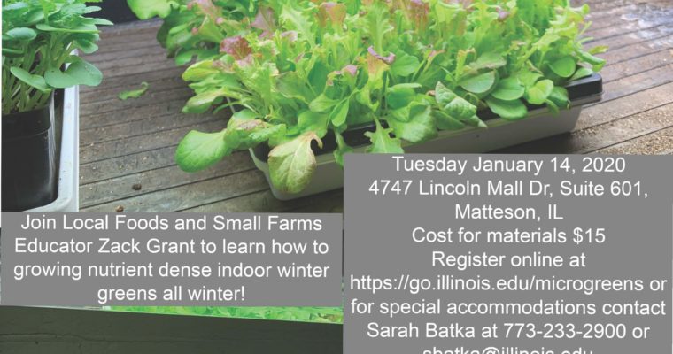 Grow Your Own Microgreens and Baby Greens Workshop
