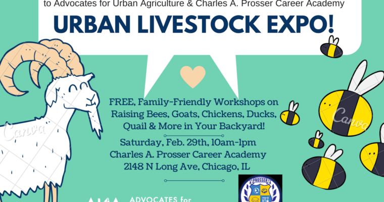 8th Annual Urban Livestock Expo – Saturday February 29