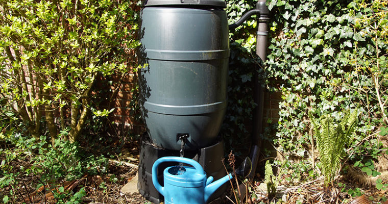 Disinfecting Rain Barrels to Stay Safe