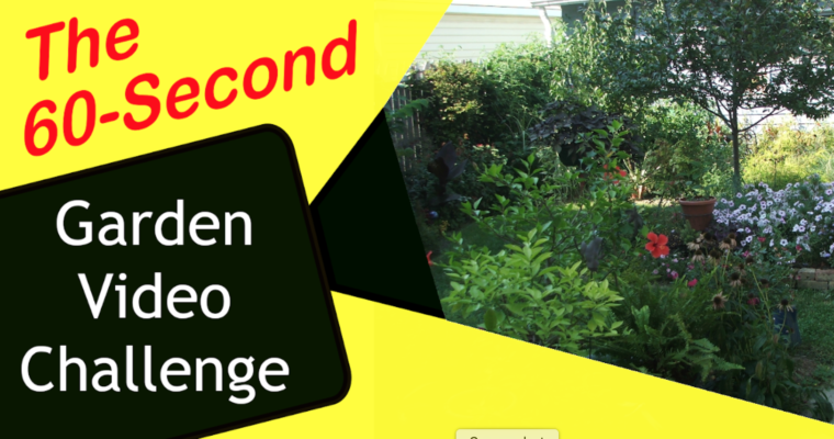 60 Second Garden Challenge