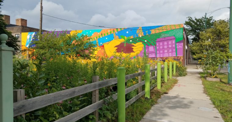 El Paseo Community Garden is Awarded a Creative Placemaking Award