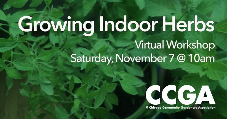 Indoor Herbs Virtual Workshop