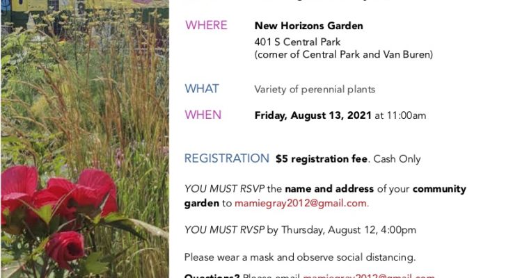 Summer Plant Distribution Friday August 13