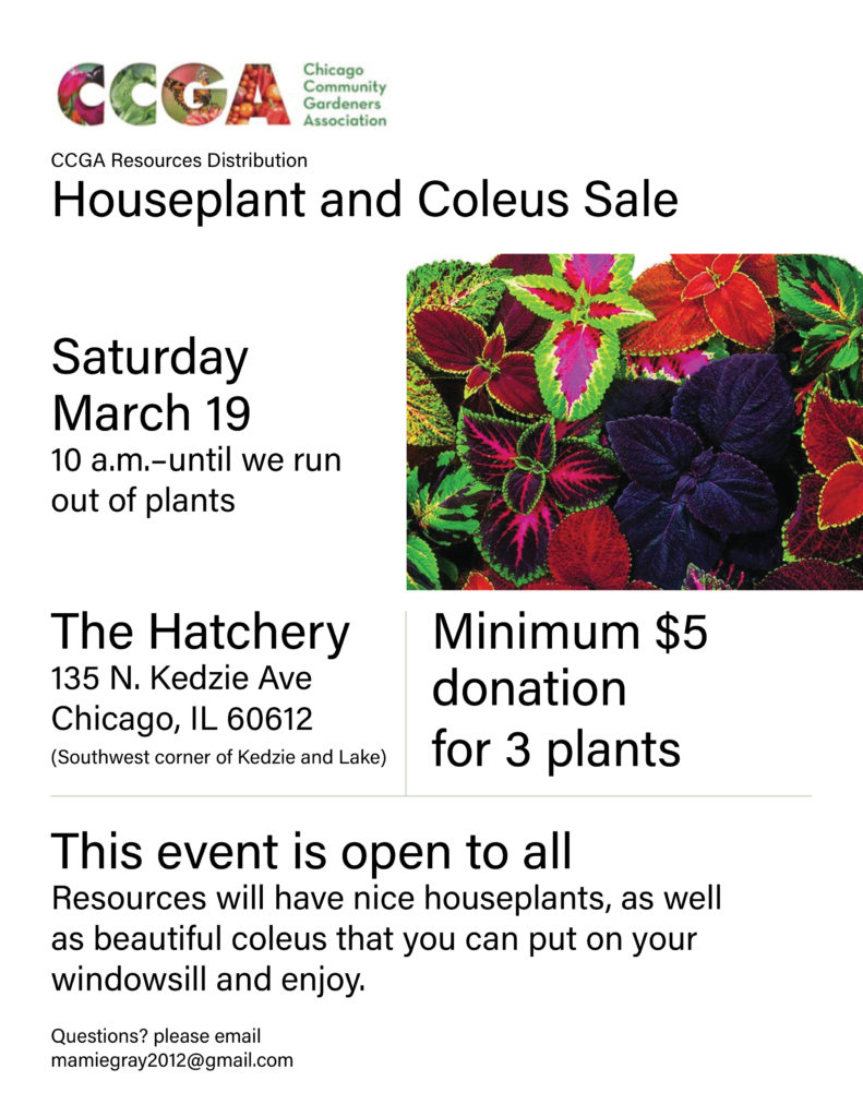 Houseplants & Coleus Distribution 3-19-2022 Flyer
