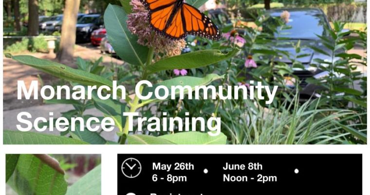 Monarch Community Science Project