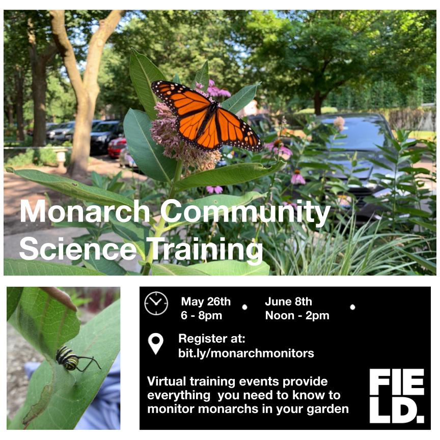 Monarch Community Science Project