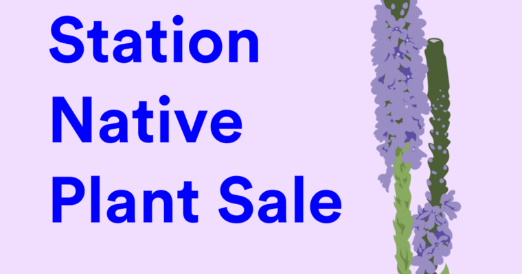 Comfort Station Native Plant Sale – Until May 31