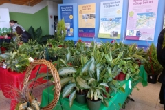 Many tables with plants