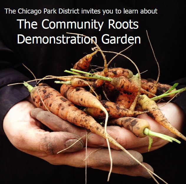 Learn More about the Community Roots Demonstration Garden