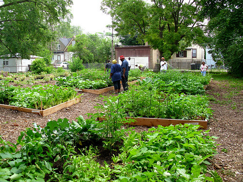 Hermitage Street Community Garden Workday Chicago Community