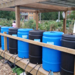 Monarch Comm Garden - Water Barrels