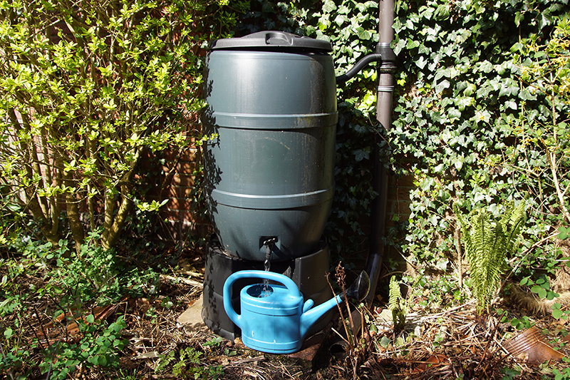 Disinfecting Rain Barrels To Stay Safe, Is Rain Barrel Water Safe For Vegetable Garden