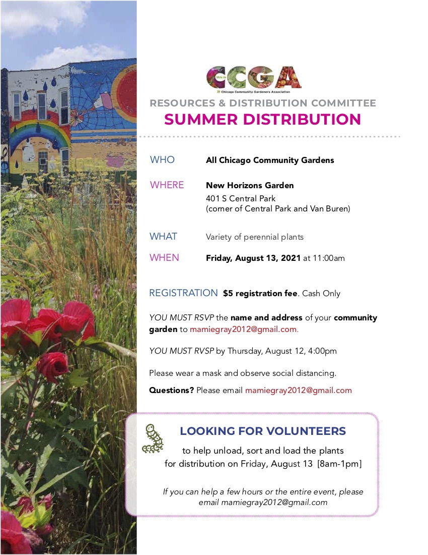 Summer Plant Distribution Friday August 13 - Chicago Community
